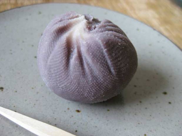 thebloggen_IMG_7347_wagashi_okashi_asters