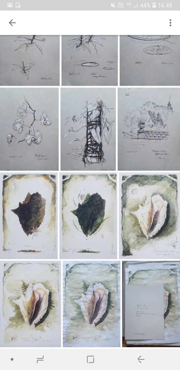 Screenshot_20190517-144934_PhotoScan