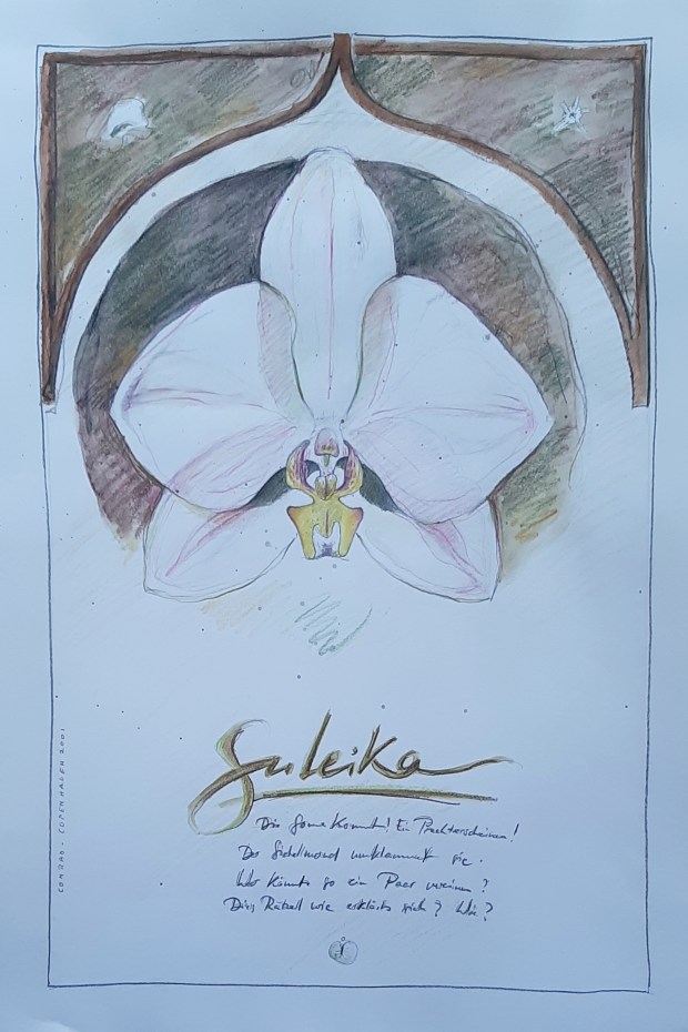 1558093589449-a60bd576-05a0-4c51-89fe-5926cebdd477_