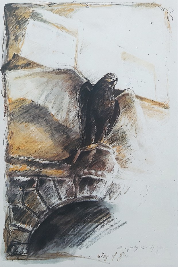 1558093631780-0082c1d2-d347-4517-9fbc-3204a4ee2b4b_