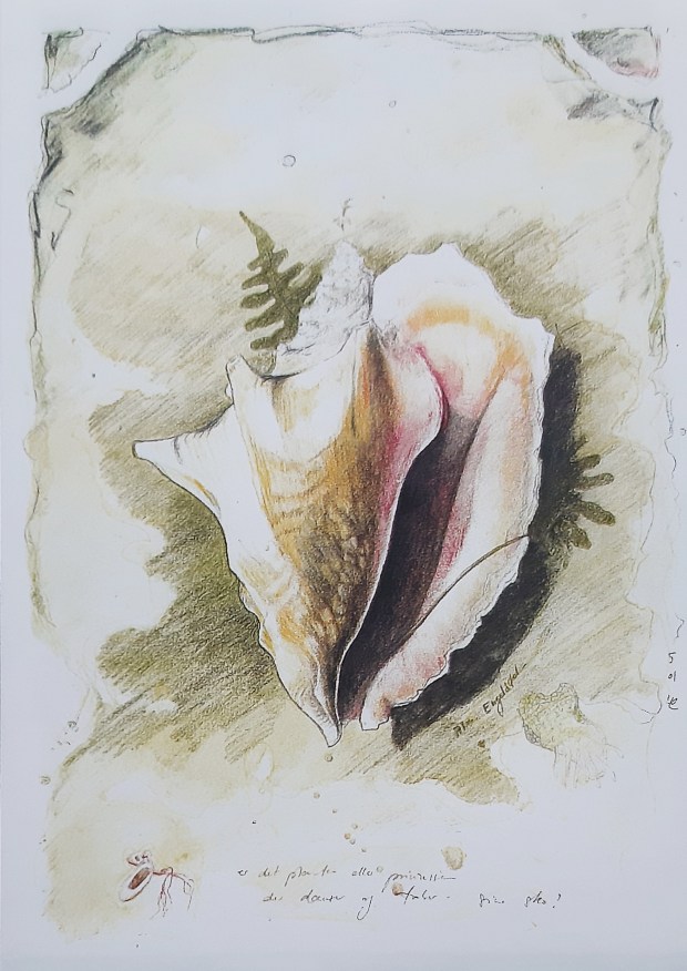 1558093779444-83a527c9-9a3f-4ab1-b592-8854686e1edc_