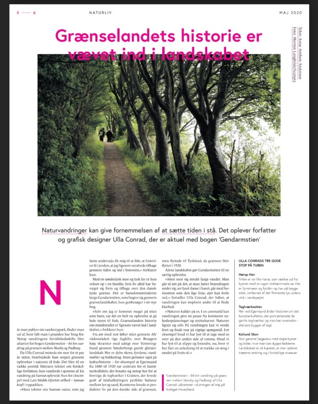 Anmeldelse_Vejlamtsavis_100520